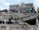 Čudo u Turskoj: Mačka preživjela 49 dana ispod ruševina