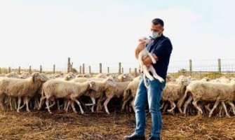 Pastir pozitivan na koronu pozvao gradonačelnika da mu pazi stado: Svakodnevno brine o životinjama