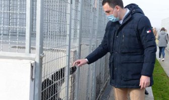 Vlahović: Azil ne smije da služi kao zatvor za napuštene pse