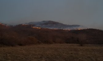 Požari širom Crne Gore: Za nastalu pustoš niko ne odgovara
