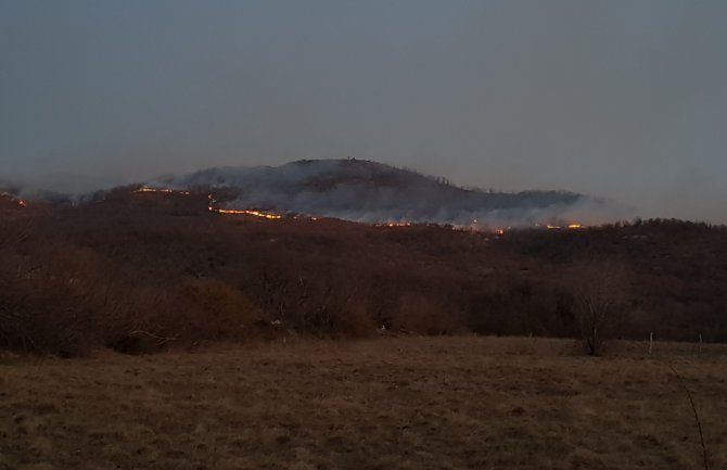 Požari širom Crne Gore: Za nastalu pustoš niko ne odgovara
