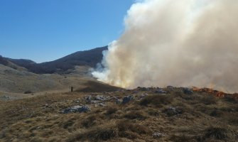Požar u NP Lovćen i dalje aktivan  