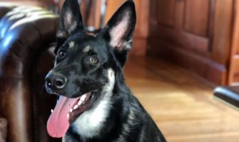 Bajdenov pas ujeo člana obezbjeđenja, vraćen u privatnu rezidenciju