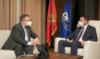 Bogdanović-Timonije: Značajna uloga DPS-a u evropskoj agendi Crne Gore