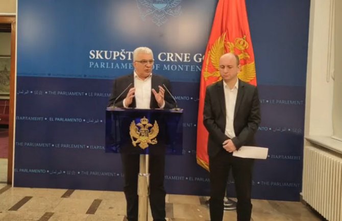 Mandić: Leposavića da smijene sa nekim drugi; Knežević: Krivokapić da smijeni one ministre koji su glasali za DPS