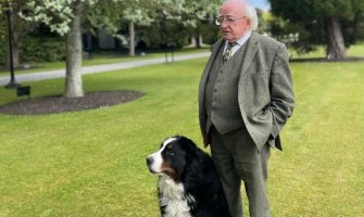Pas predsjednika Irske oduševio naciju: Dok je Higins pričao njegov ljubimac ukrao pažnju (VIDEO)
