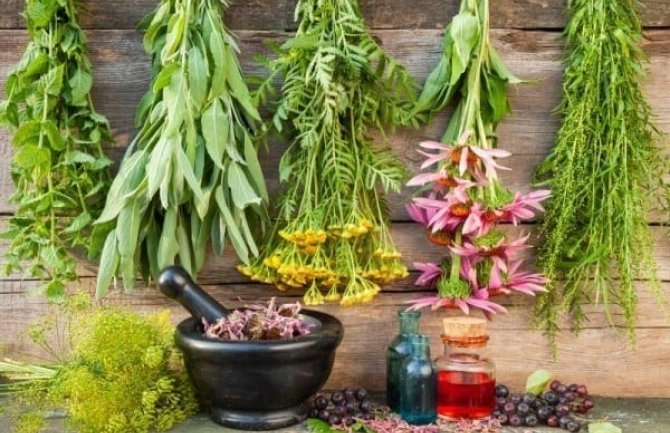 Ljekovite biljke mogu da budu štetne po zdravlje 
