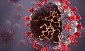 Naučnici otkrili novi soj koronavirusa sa više mutacija