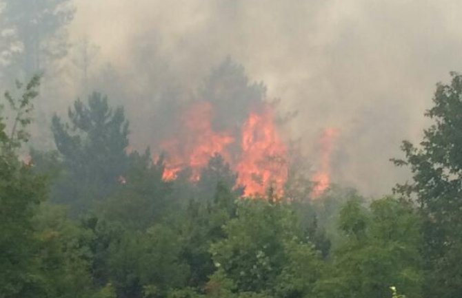 Od vatre odbranili kuće kod Nikšića, lokalizovani požari