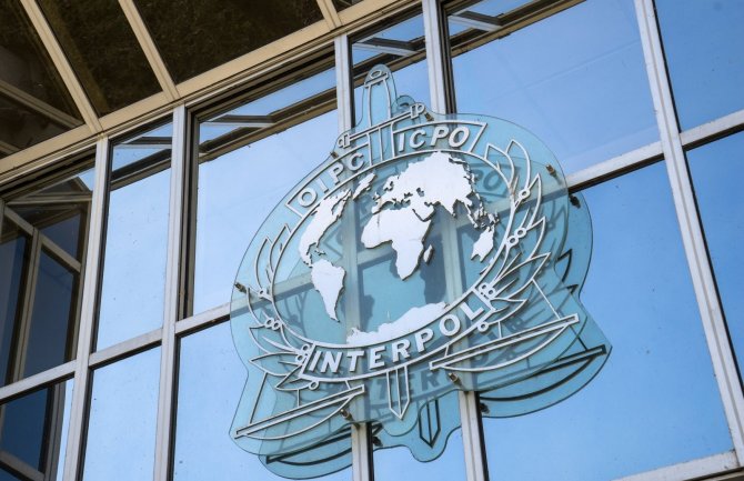 Interpol: Otkrivene 22 mreže krijumčara ljudi, uhapšeno 286 osoba 