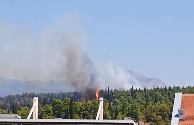  Požar na podgoričkom brdu Gorica ponovo aktivan