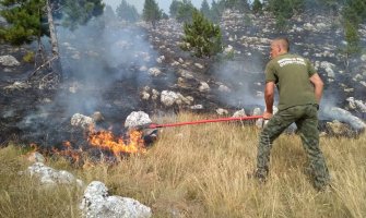 Požar zahvatio područje NP Durmitor