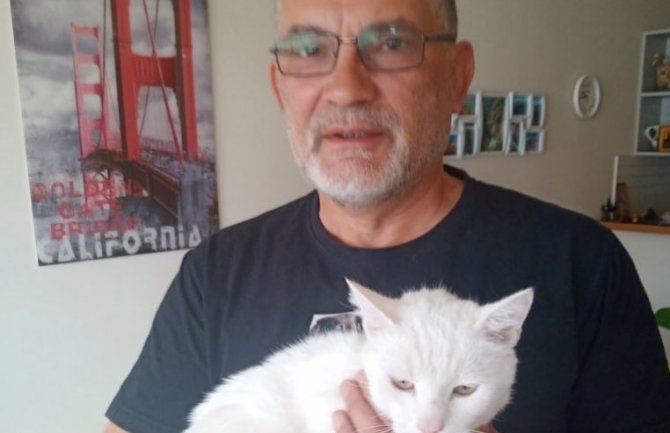 Mačak pobjegao nakon udesa u kanjonu Morače, vlasnik ga pronašao posle mjesec dana