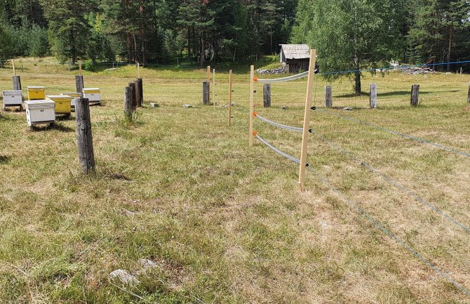 Instalirane dvije električne ograde za zaštitu pčelinjaka