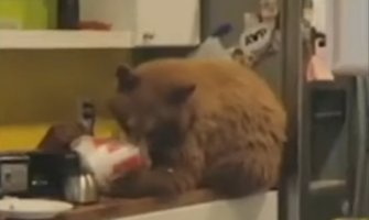 Medvjed nezvani gost u kući Amerikanca, pojeo mu pohovanu piletinu (VIDEO)