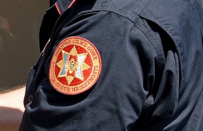 Državljanin Srbije uhapšen u Ulcinju zbog posjedovanja tzv. magične pečurke