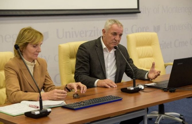 Mitrović: Energetika je, poput saobraćaja, pokretač razvoja Crne Gore