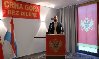Nikolić: Nezavisna Crna Gora je zajedničko životno djelo naše države i njene dijaspore 