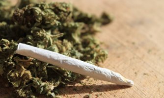 Nova studija: Marihuana popularnija od alkohola u SAD