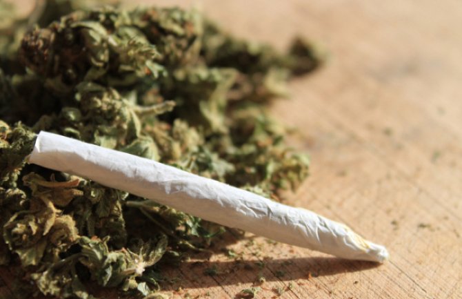 Policija u Bijelom Polju pronašla marihuanu i uhapsila jednu osobu