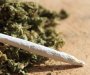Policija u Bijelom Polju pronašla marihuanu i uhapsila jednu osobu