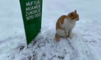Mačak Muamera Zukorlića ne odlazi sa njegovog groba ni dva mjeseca nakon smrti