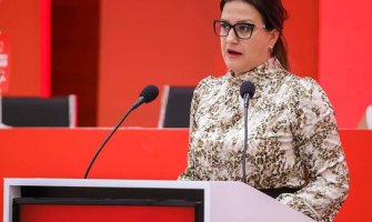 Raščanin Radičević: Medijsko izvještavanje i bavljenje temom nasilja nad ženama zahtijeva poseban pristup