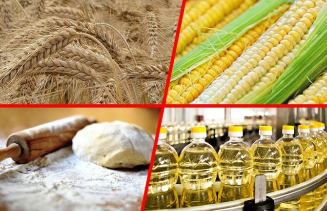 Očekuje se rast cijena pšenice od 33 i ulja od 40 odsto