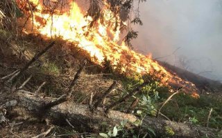 Požar u Mojkovcu, Služba zaštite počeće preventivne mjere na terenu