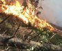 Požar u Mojkovcu, Služba zaštite počeće preventivne mjere na terenu