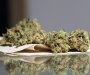 Pronađena marihuana namijenjena za uličnu prodaju, krivična prijava protiv devetnaestogodišnjaka