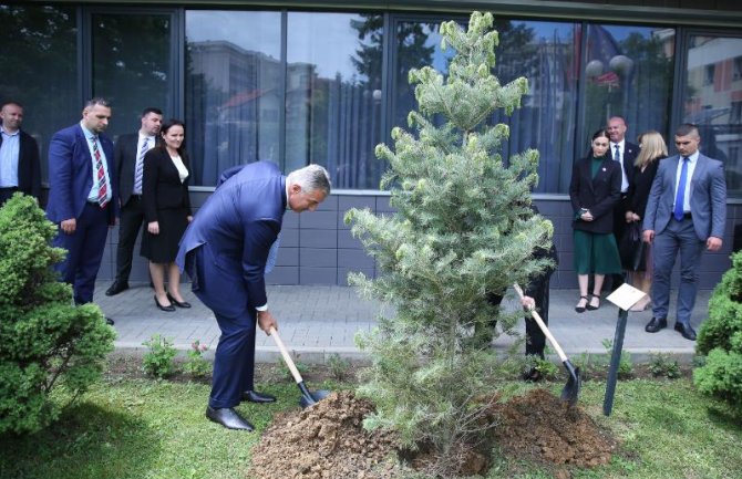 Đukanović i predsjednica Kosova zasadili drvo prijateljstva (Video)