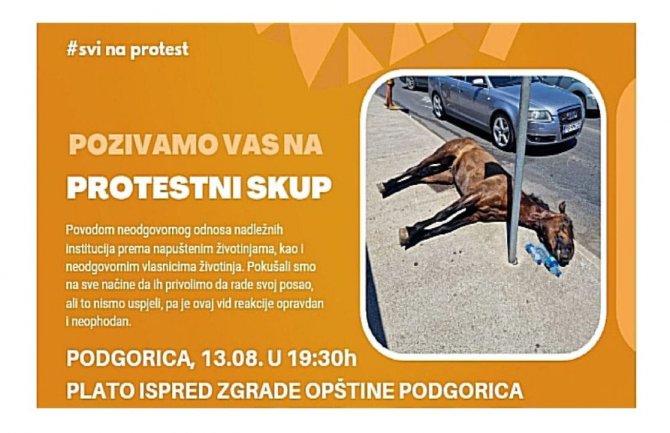 Protest ljubitelja životinja u subotu u Podgorici