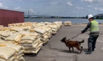 U Kolumbiji palo pet tona kokaina namijenjenih evropskim lukama