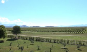 13. jul Plantaže: Jedinstveno vinogradarstvo