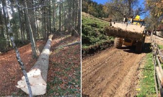 Mještani sela Peškovići: Spriječiti devastaciju puta i krađu šume