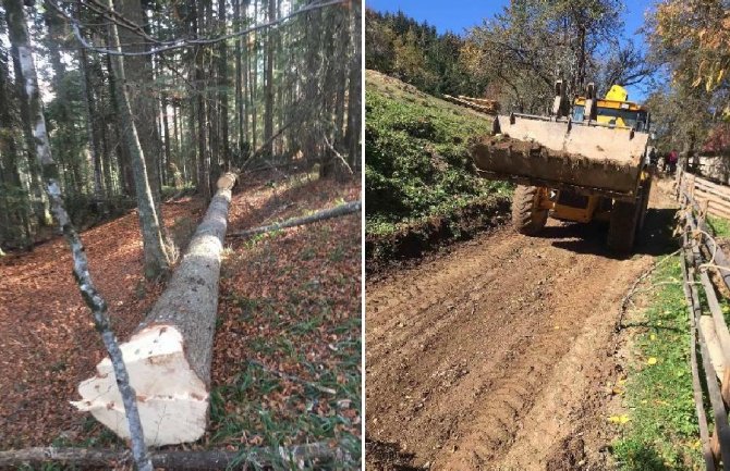 Mještani sela Peškovići: Spriječiti devastaciju puta i krađu šume