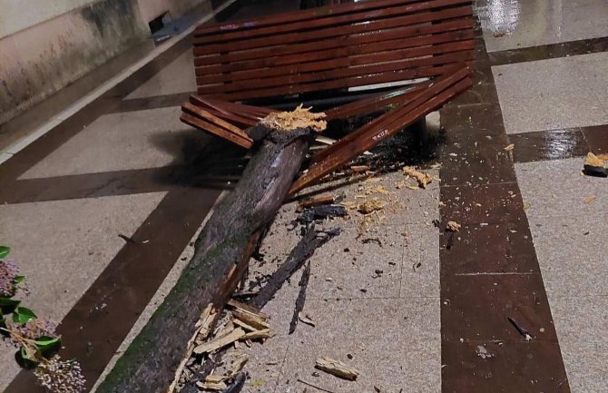 Nevrijeme pogodilo Crnu Goru: Vjetar obarao stabla u Podgorici i na Cetinju, kiša izazvala poplave u Herceg Novom