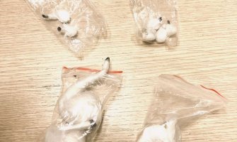 Podgoričanin uhapšen zbog ulične prodaje droge: Kod 20-godišnjaka pronađeno 24 grama kokaina