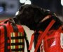Turska ne zaboravlja svoje heroje: Spasilački psi umjesto u prostoru za prtljag put kući proveli u biznis klasi