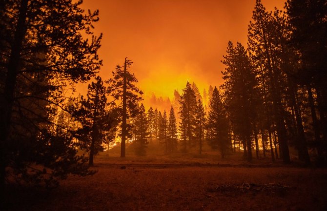 Kanadske vlasti upozorile na pojavu šumskih požara nakon nestabilnog vremena