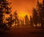Kanadske vlasti upozorile na pojavu šumskih požara nakon nestabilnog vremena
