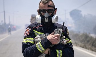 Vatrogasac na Rodosu iz vatre spasio dva zeca i mačića, u naručju ih odveo na sigurno