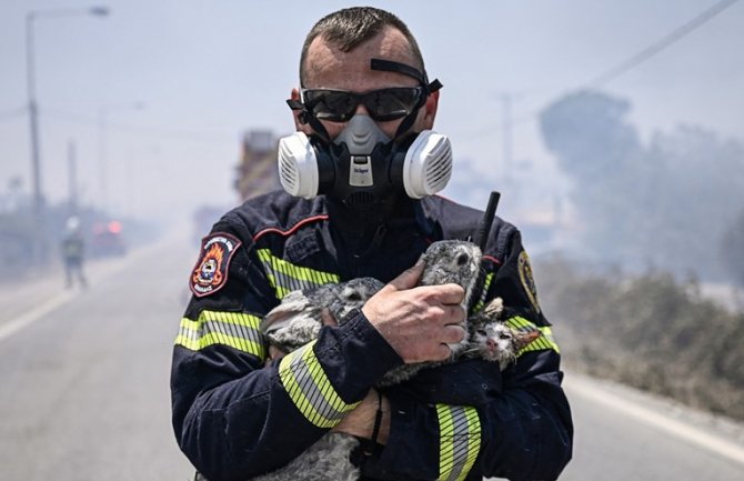 Vatrogasac na Rodosu iz vatre spasio dva zeca i mačića, u naručju ih odveo na sigurno