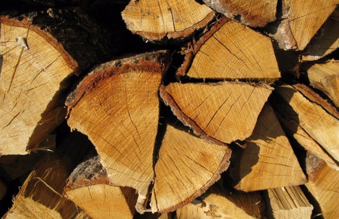 Cijena drva za ogrijev enormno skočila, građani strahuju za predstojeću zimsku sezonu