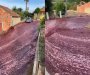 Rijeka crvenog vina teče niz ulice: Više od dva miliona litara se izlilo u Portugalu