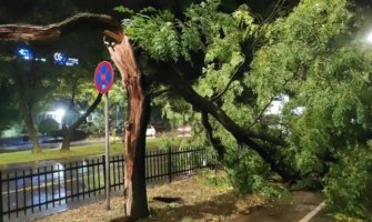 Posljedice ogromnog nevremena u Podgorici: Vjetar čupao stabla, oštećeni automobili, službe na terenu