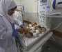 Prijevremeno rođene bebe iz Gaze stigle u Egipat