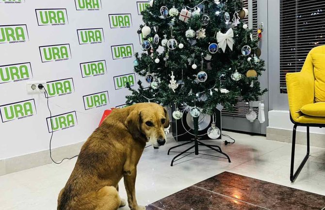 Barska URA: Sredstva za novogodišnji vatromet usmjeriti na udruženja koja brinu o životinjama u Baru
