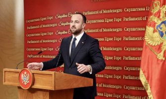 Nikolić: Podnijećemo inicijativu za smjenu Andrije Mandića